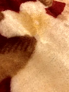 Lamarocainee online show from 10-05-25, 09:16