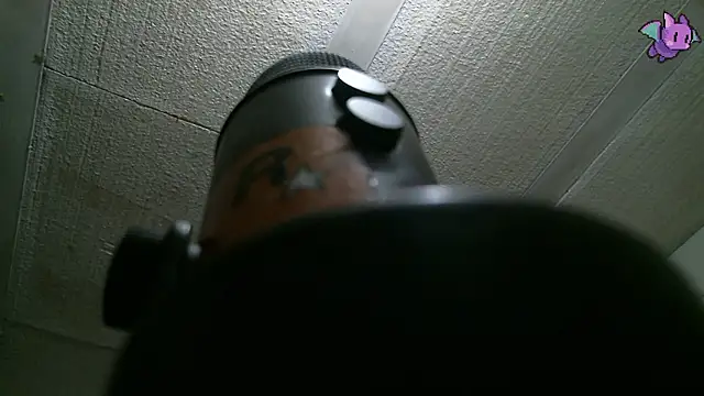 Snapshot of Dickie_Dicking chatting on 02-11-26, 10:09 Dickie Dicking online show from 02-11-26, 10:09