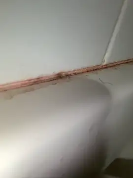 StroknGoon69 online show from 11-04-25, 11:52