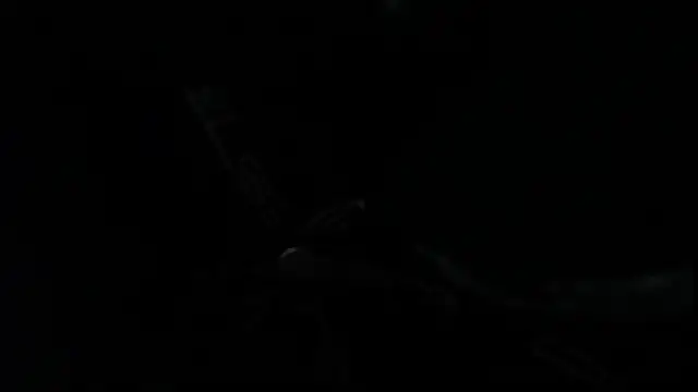 SteveDickson  online show from 10-14-25, 09:15
