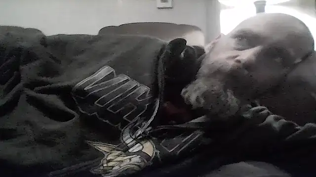 crazyheratic8 online show from 01-17-26, 01:31