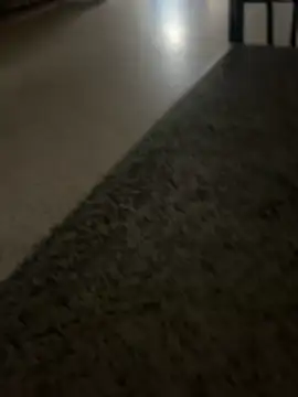 nice686xh online show from 11-30-25, 08:20