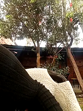 Jade 1-9 online show from 10-30-25, 05:43