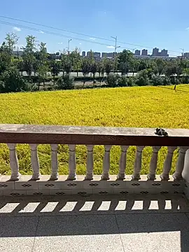 dachui 168 online show from 10-06-25, 03:29