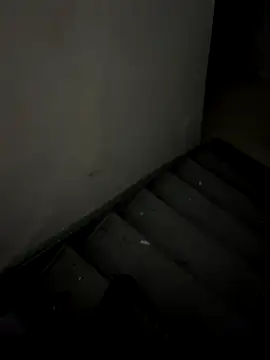 ayrtonmen online show from 11-14-25, 02:43