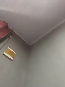 Priihmedeiros online show from 12-20-25, 11:13