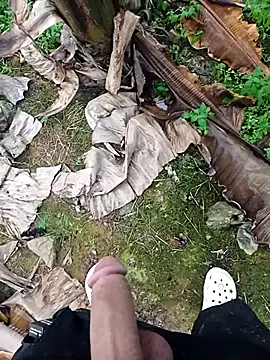 Sikici0734 online show from 11-11-25, 02:01