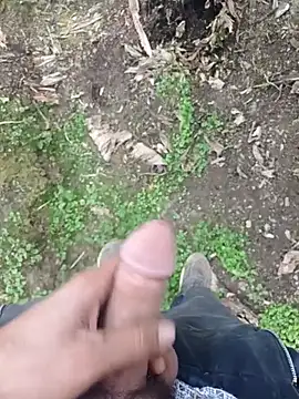 Sikici0734 online show from 11-30-25, 09:21