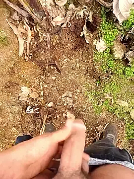 Sikici0734 online show from 11-29-25, 10:37