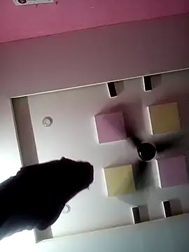 supcpl online show from 02-01-26, 06:06