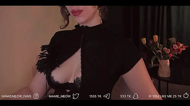 Snapshot of Mamiemeow chatting on 04-06-26, 06:14 Mamiemeow online show from 04-06-26, 06:14