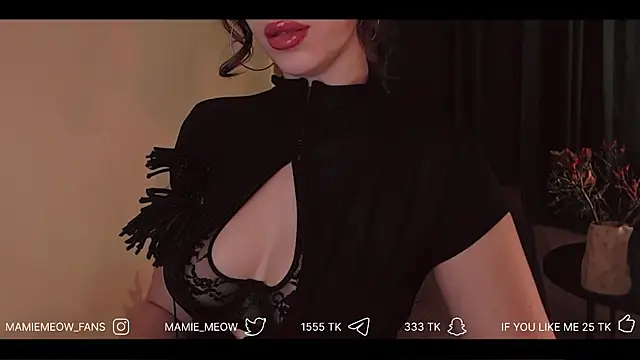 Snapshot of Mamiemeow chatting on 04-03-26, 01:50 Mamiemeow online show from 04-03-26, 01:50
