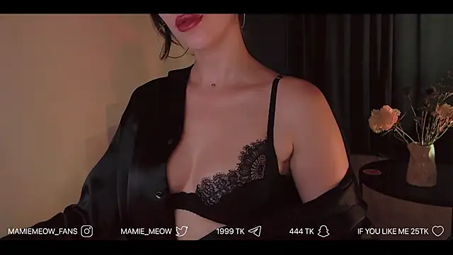 Snapshot of Mamiemeow chatting on 06-05-26, 02:01 Mamiemeow online show from 06-05-26, 02:01