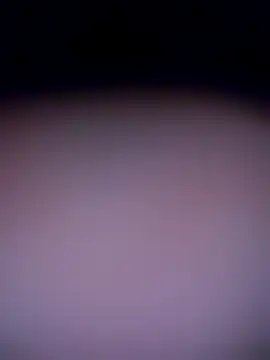 shannon kinne  online show from 11-04-25, 10:30