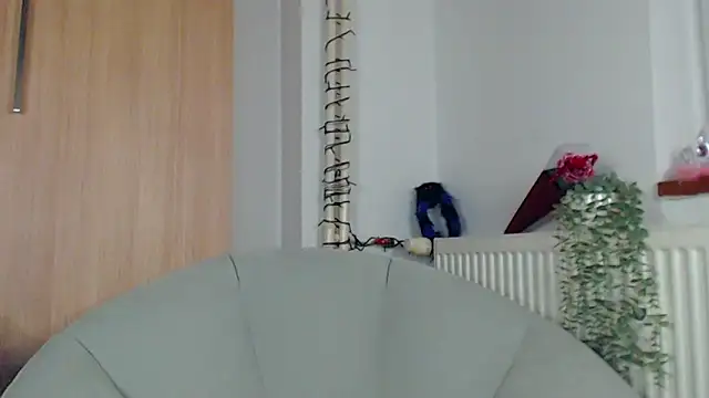 adacgrey online show from 02-15-26, 06:51