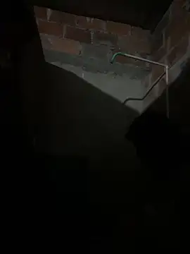 Snapshot of lady_and_charly chatting on 02-07-26, 11:24 lady and charly online show from 02-07-26, 11:24