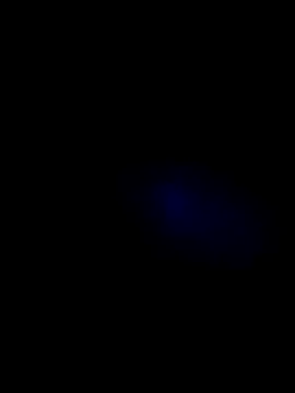 lady and charly online show from 11-07-25, 07:40