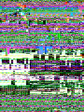 Rose monroee online show from 11-13-25, 07:40