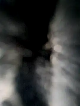 Neilhot98 online show from 10-07-25, 05:14