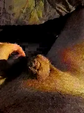 Snapshot of Patrice51230 chatting on 11-27-25, 01:55 Patrice51230 online show from 11-27-25, 01:55