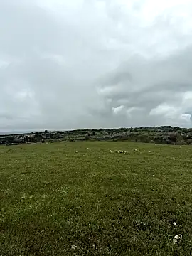 Sert erkek21 ysm online show from 04-20-26, 01:13