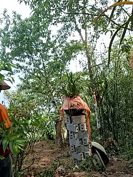 miomio-12 online show from 04-15-26, 02:06