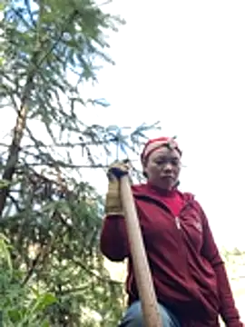 miomio-12 online show from 11-24-25, 02:55