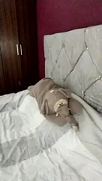 cieloking09 online show from 02-28-26, 06:35