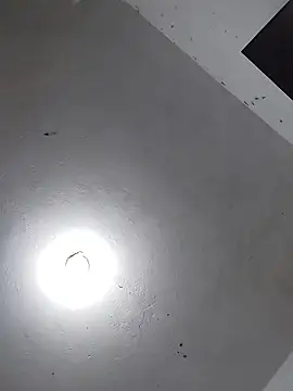  Bella Beth  online show from 11-26-25, 02:33