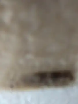 Cr sonam online show from 11-24-25, 11:27