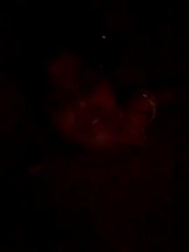 Tg sonam online show from 10-23-25, 04:16