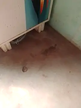 Tg sonam online show from 12-23-25, 07:18