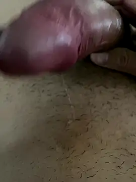 leiteiro2002 online show from 11-09-25, 11:58