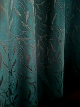 Raj-Varma online show from 10-07-25, 11:22