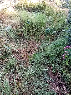 jerry-xx online show from 10-29-25, 12:53