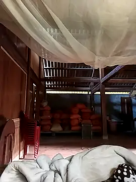 jerry-xx online show from 12-02-25, 08:05