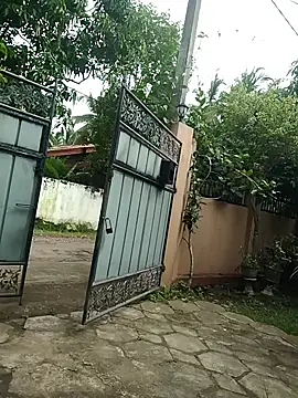 SL BEAR online show from 12-18-25, 07:57