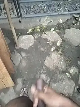 SL BEAR online show from 12-04-25, 01:37