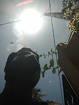 SL BEAR online show from 04-19-26, 06:47