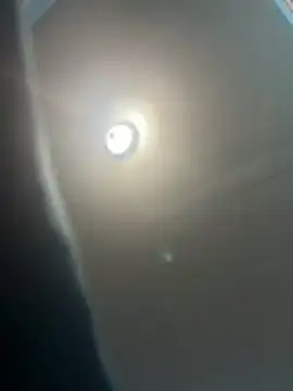 Steven-1989 online show from 11-30-25, 09:43