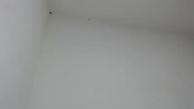 Snapshot of drako_monster chatting on 01-31-26, 09:46 drako monster online show from 01-31-26, 09:46