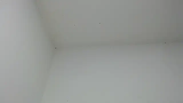 drako monster online show from 12-18-25, 06:51