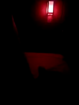 Picamacia20 online show from 01-15-26, 08:29