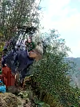 gio-thu online show from 04-11-26, 09:02