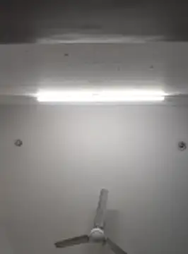 Anchal-8798 online show from 11-08-25, 06:11