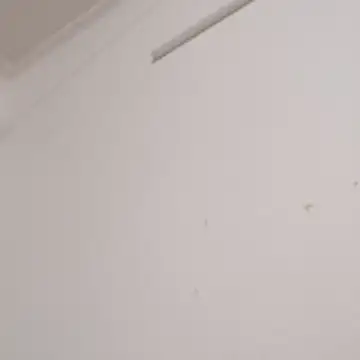 Anchal-8798 online show from 12-02-25, 06:09