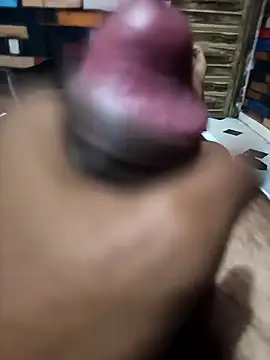 siddBus online show from 10-11-25, 01:45