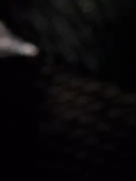 BeppeRagnar online show from 03-27-26, 08:26