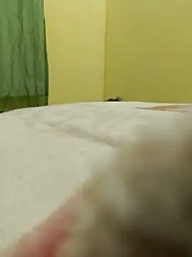 sants13 online show from 10-31-25, 09:43