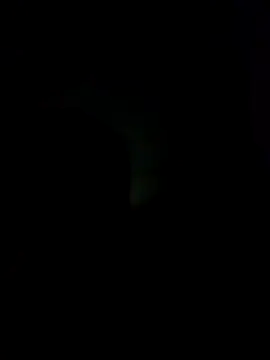 sexdol2 online show from 12-01-25, 07:09